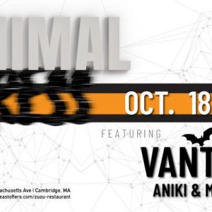 Minimal Stress Oct 18.jpeg